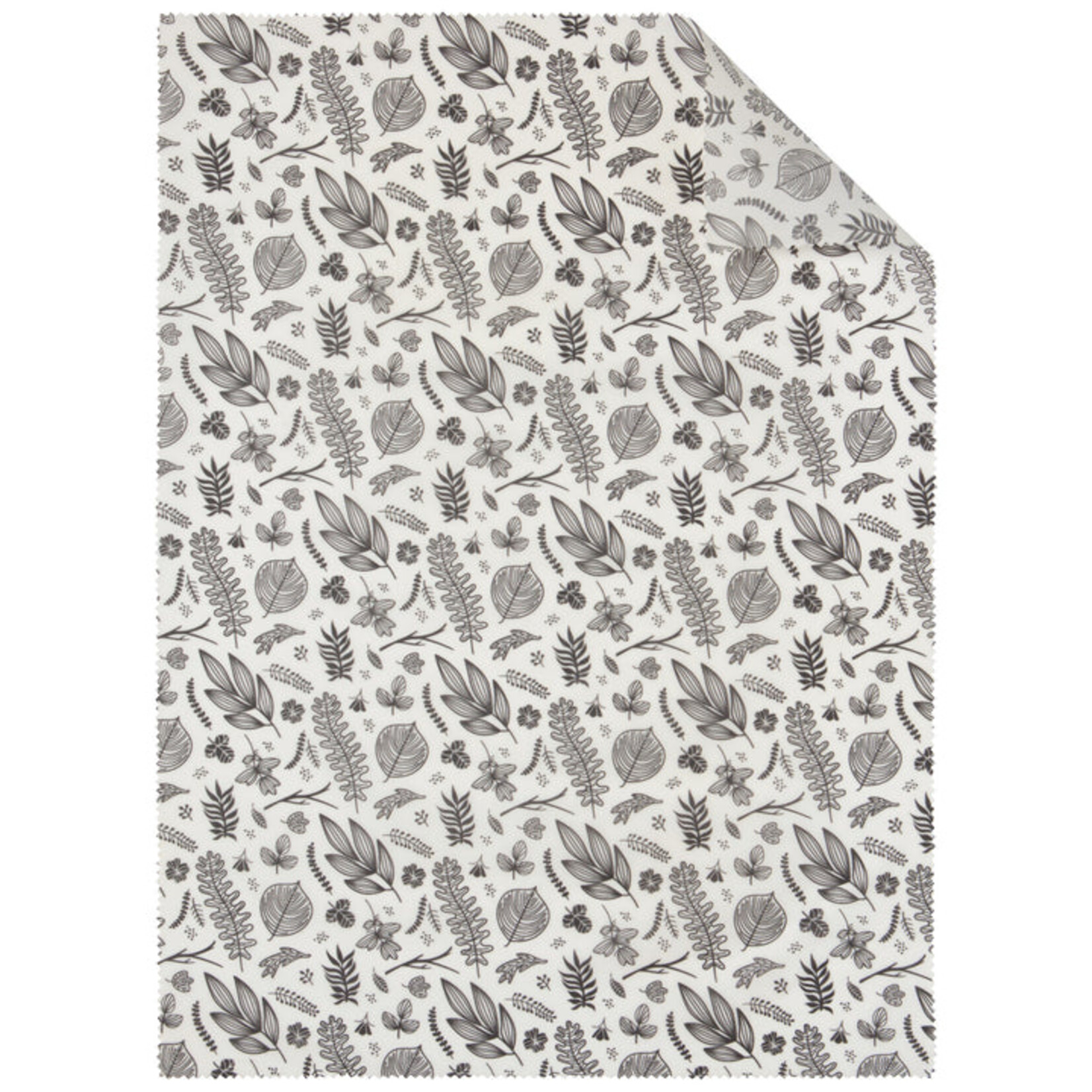 Danica XL Bees Wax Arbor