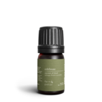 Fern & Petal Celebrate Essential Oil lend