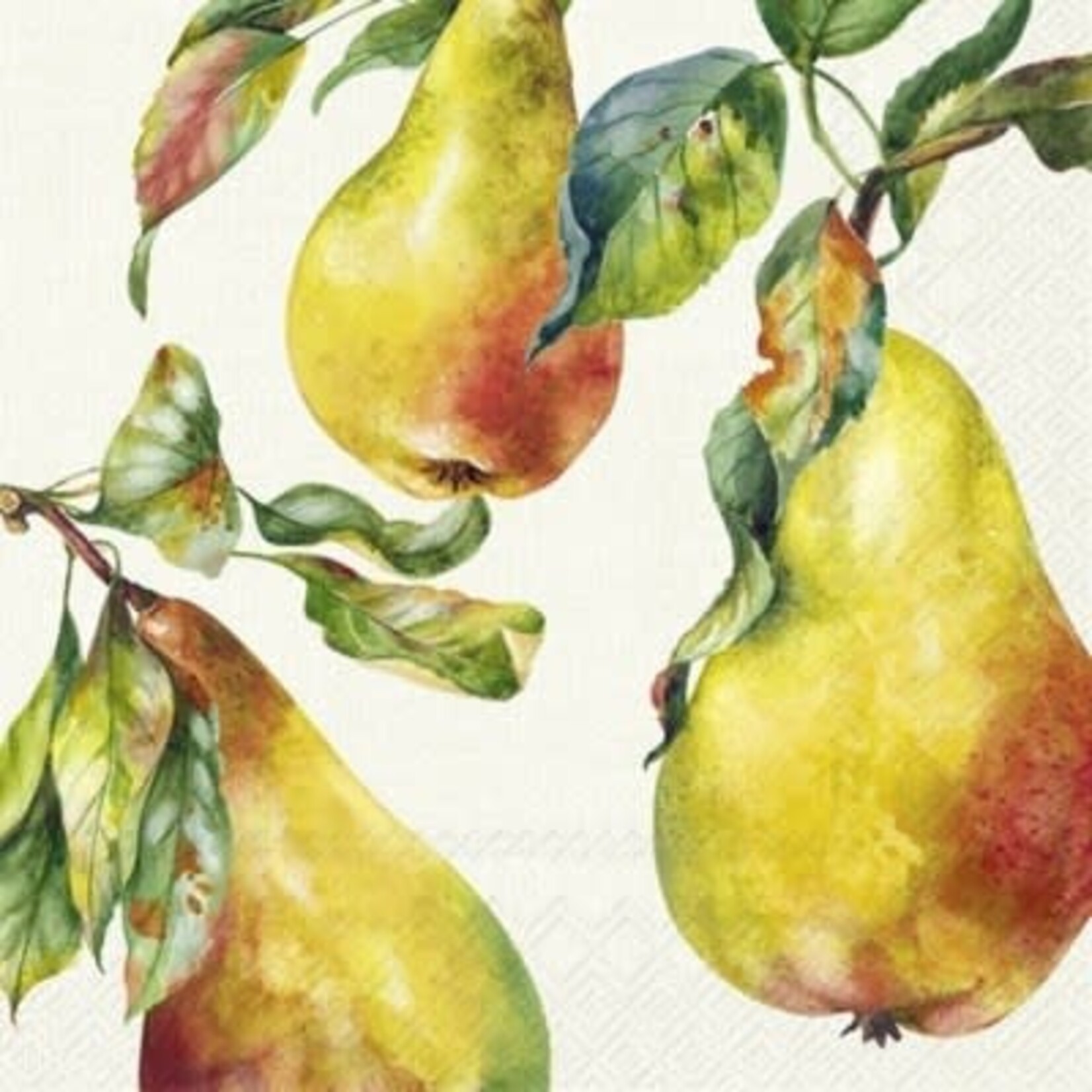 IHR Home Grown Pears Cocktail Napkin