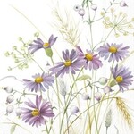 IHR Lilac Aster Cocktail Napkin