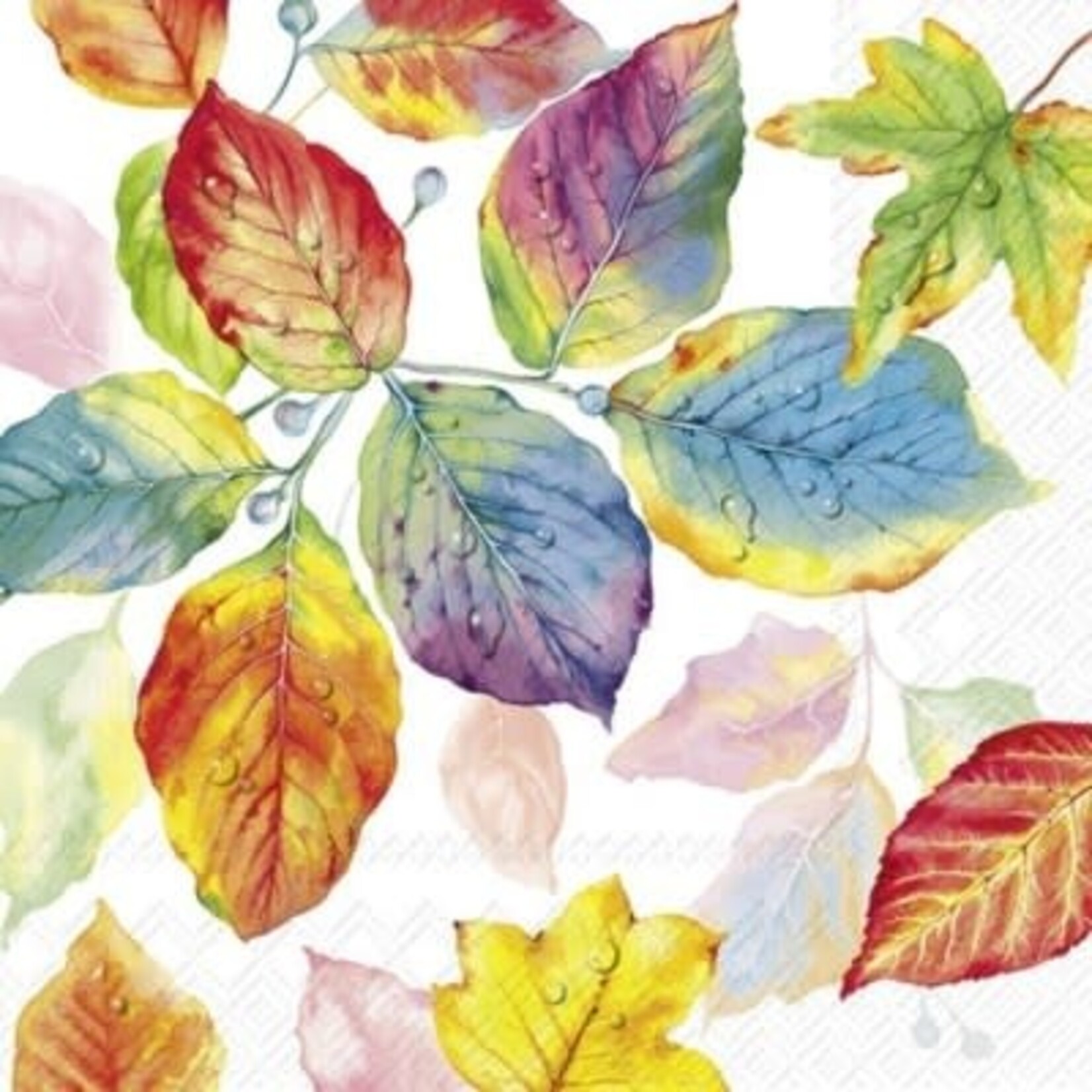 IHR Colorful Leaves Cocktail Napkin