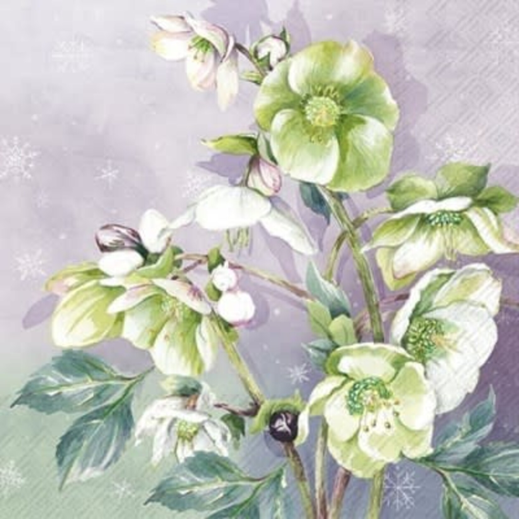 IHR Winter Bouquet  Cocktail Napkin