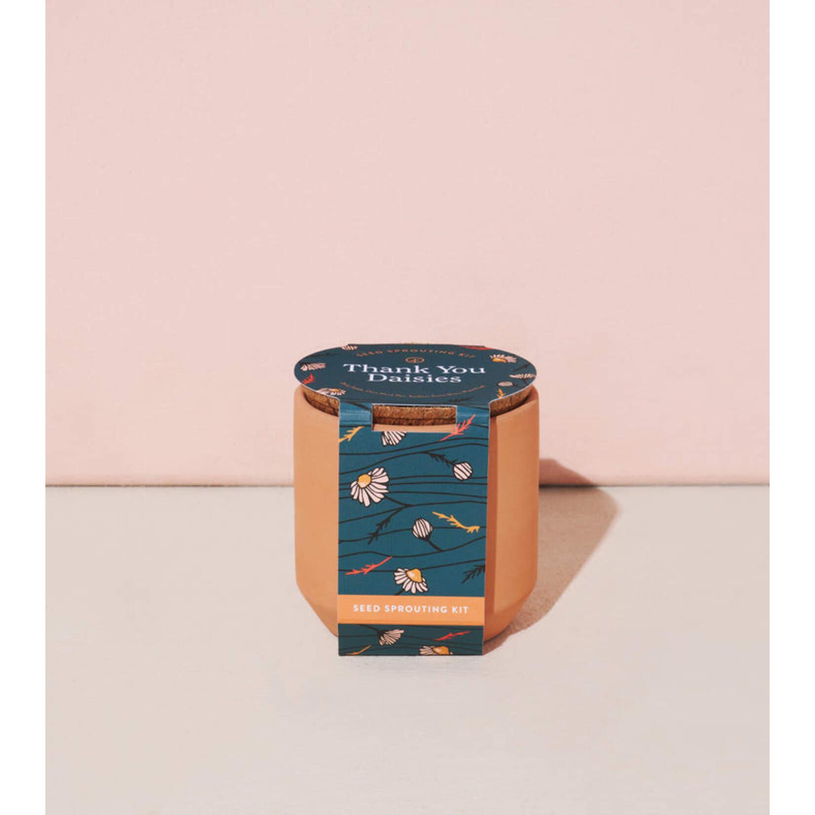 Tiny Terracotta Kit