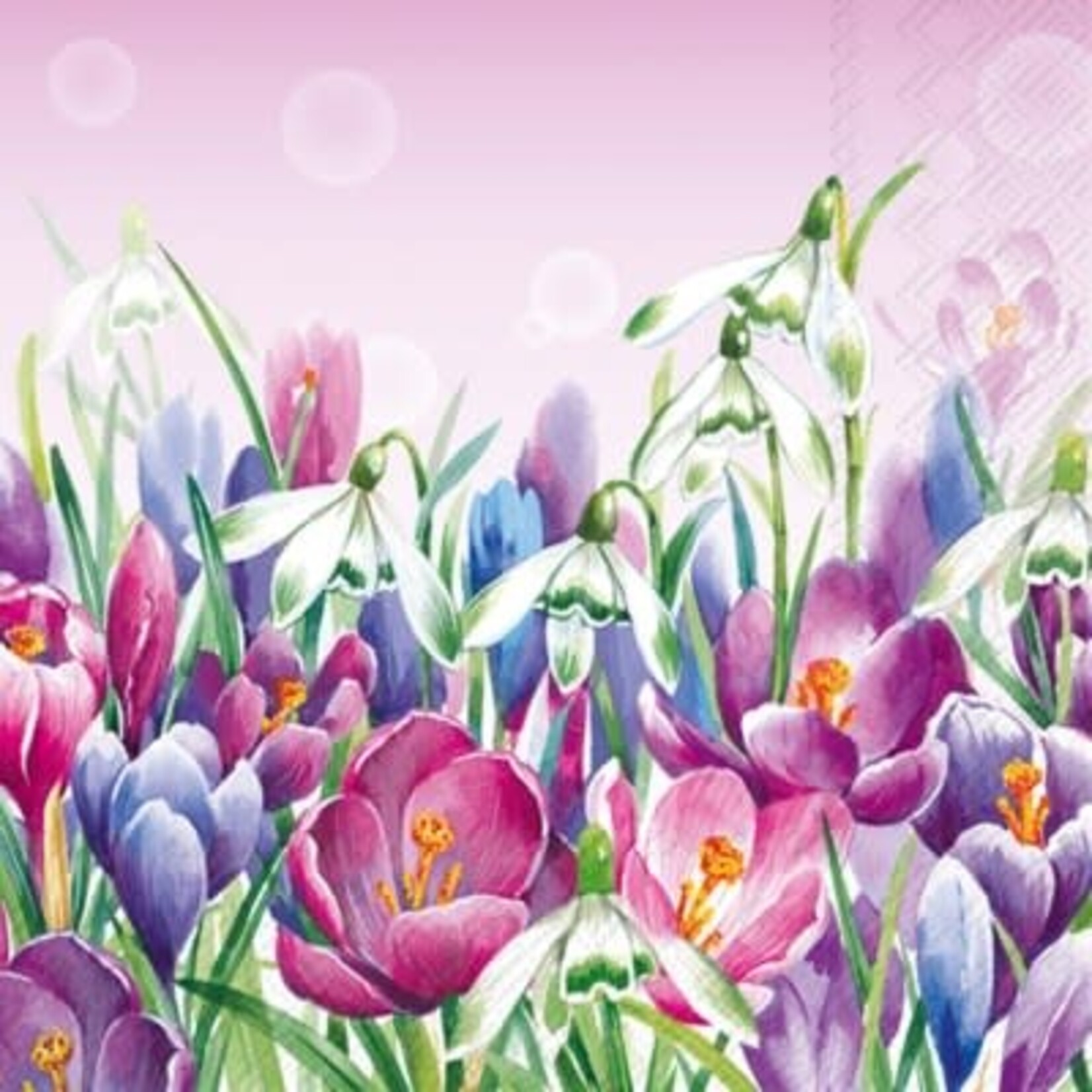 IHR Crocus  Lunch Napkin