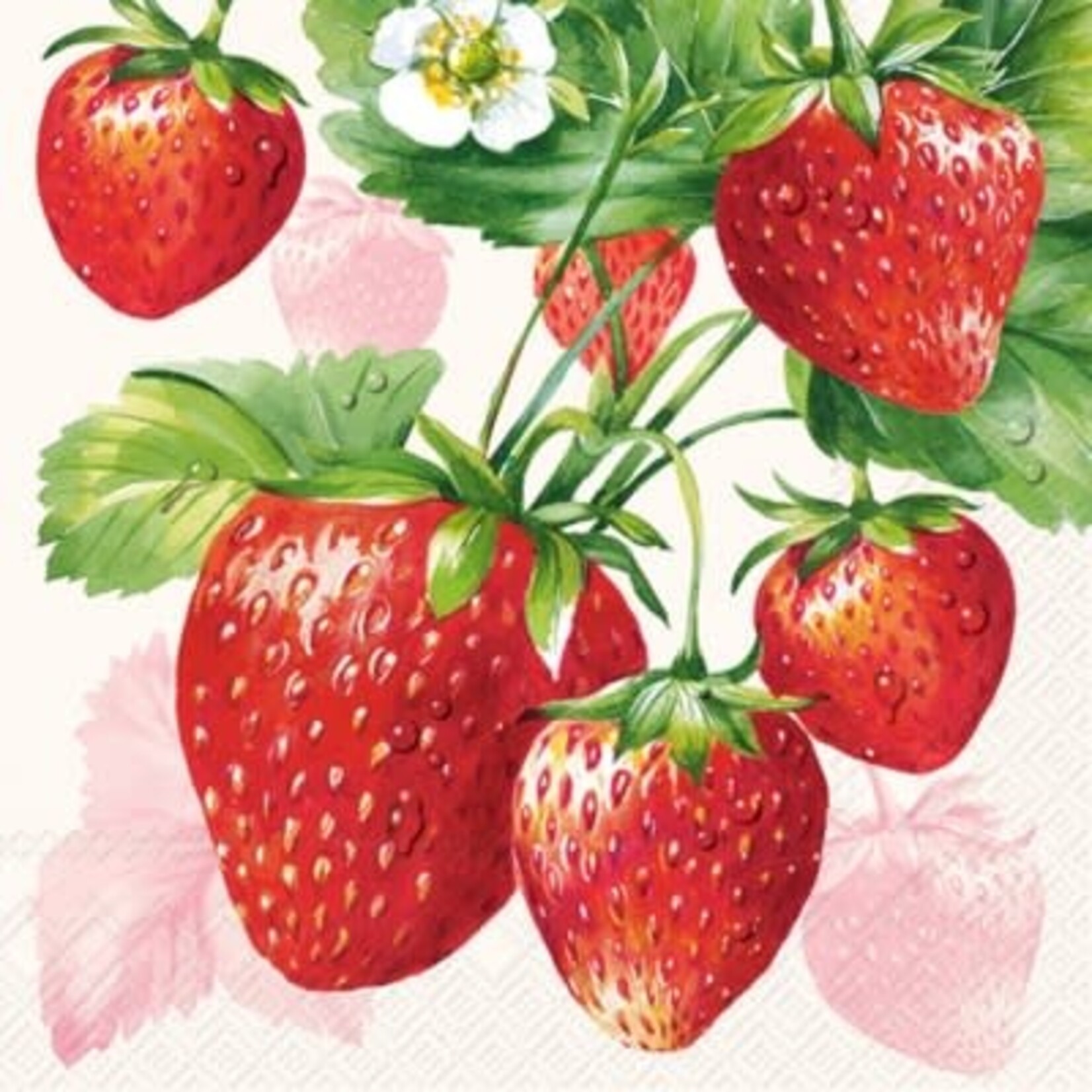 IHR Strawberry Fruits Cocktail Napkin