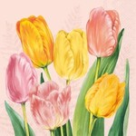 IHR Spring Tulips Cocktail Napkin