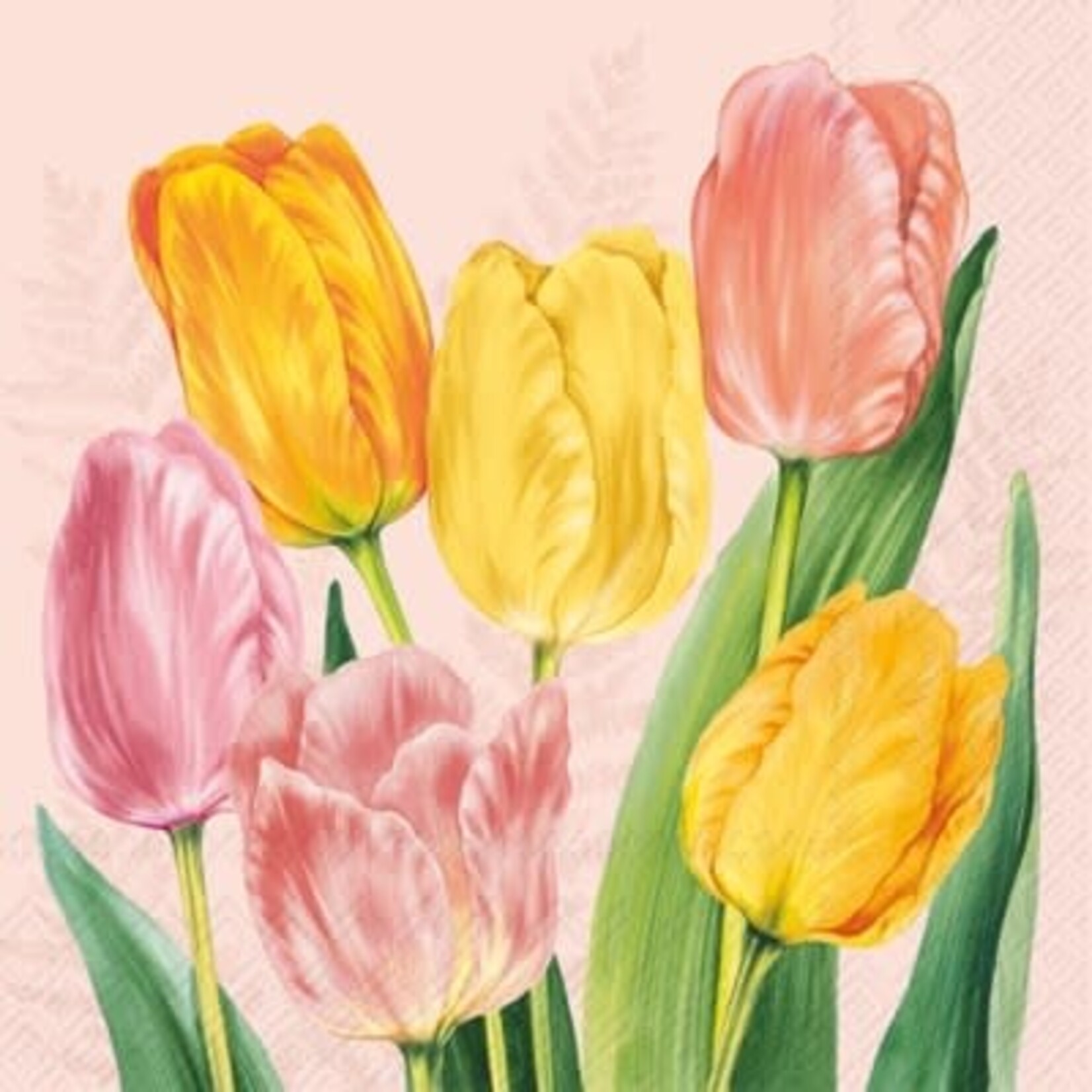 IHR Spring Tulips Cocktail Napkin