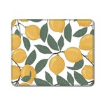 Paper Towel 10/PK Amalfi Lemons