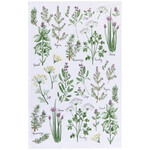 Danica Fresh Herbs Printed Terry Dishtowel