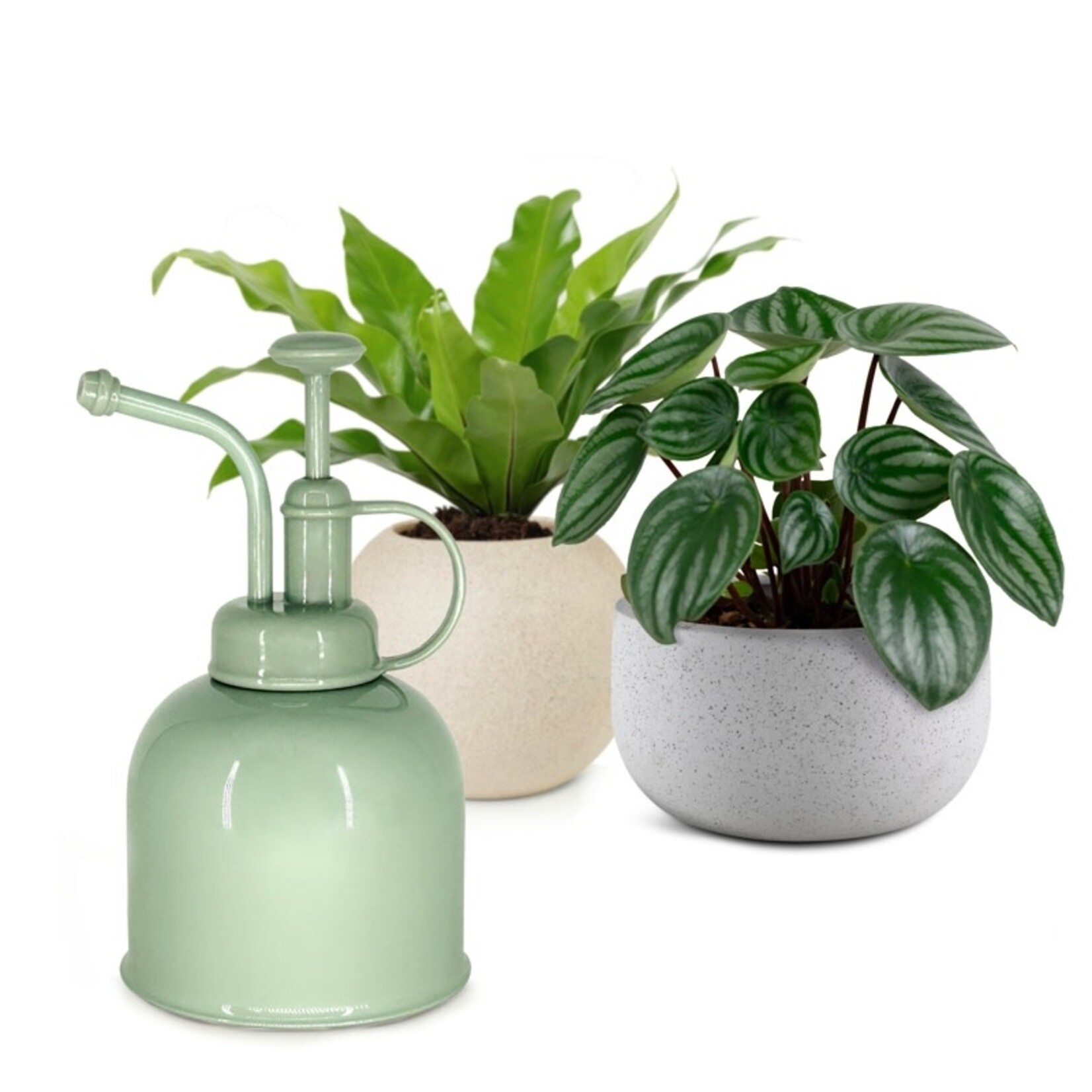 Natural Living Sage Plant Mister