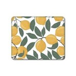Reusable Paper Towel 10/PK  Amalfi Lemons