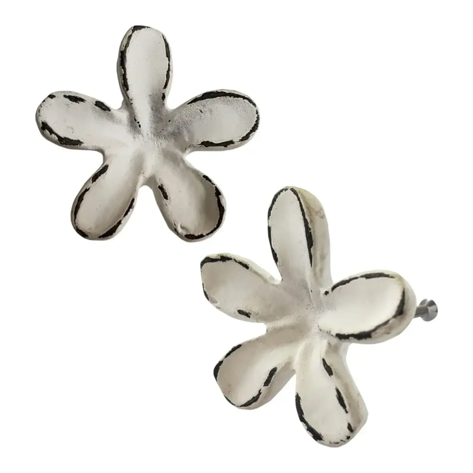 Daisy Knob Distressed White Fi