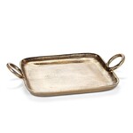 Abbott lg ring Handle Tray