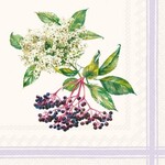 IHR Natural Elder Cocktail Napkin