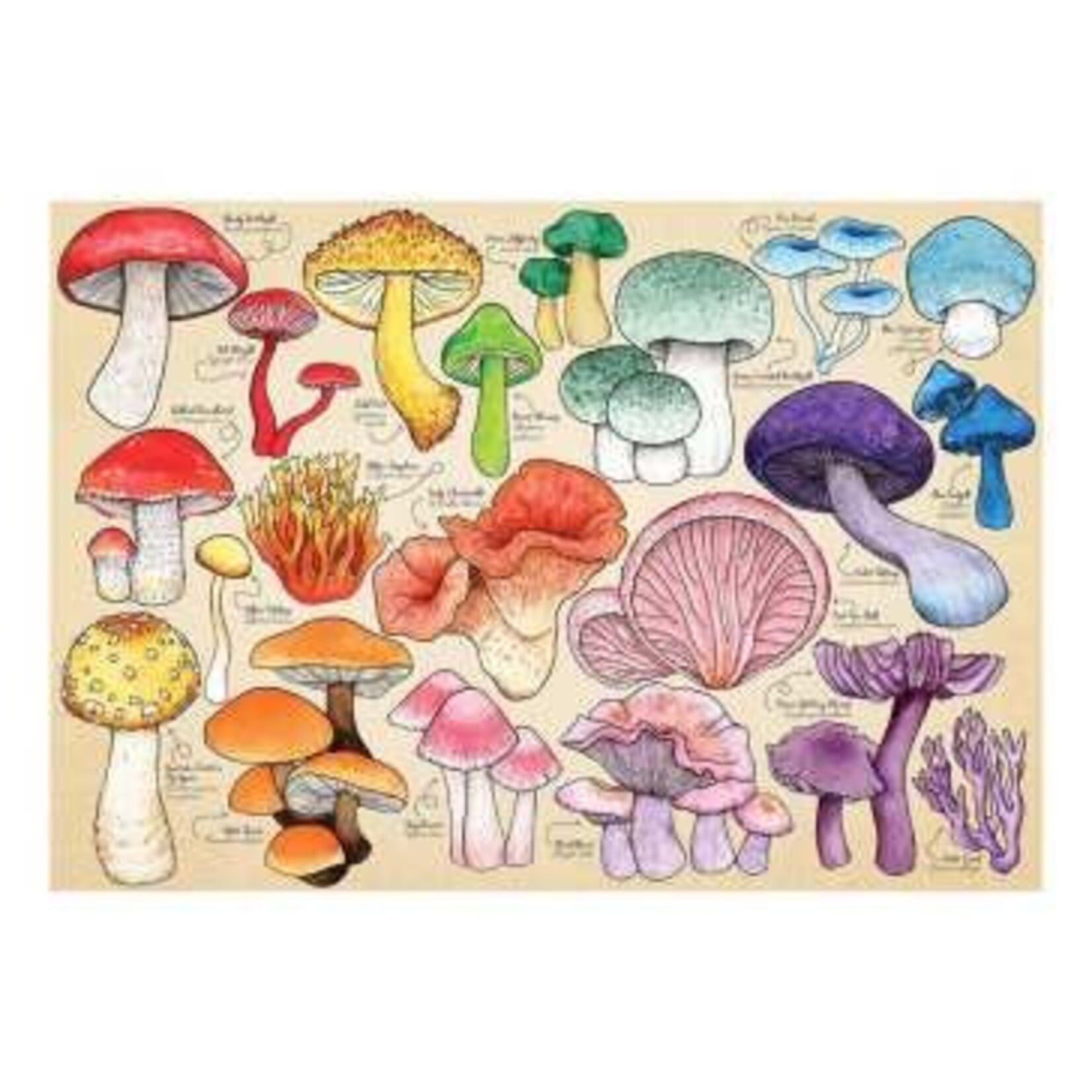 Mushroom Mania 150 Tube