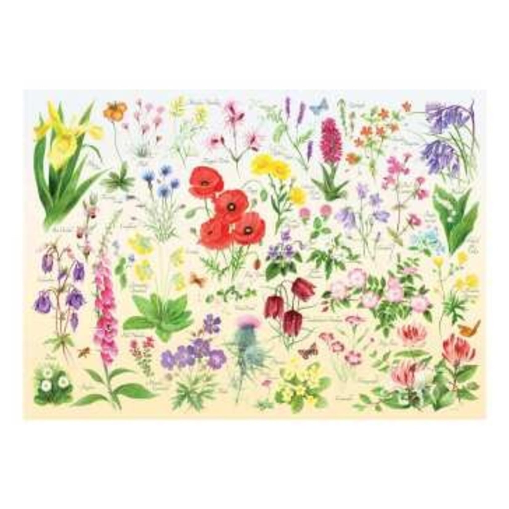 Wildflowers 150 Tube
