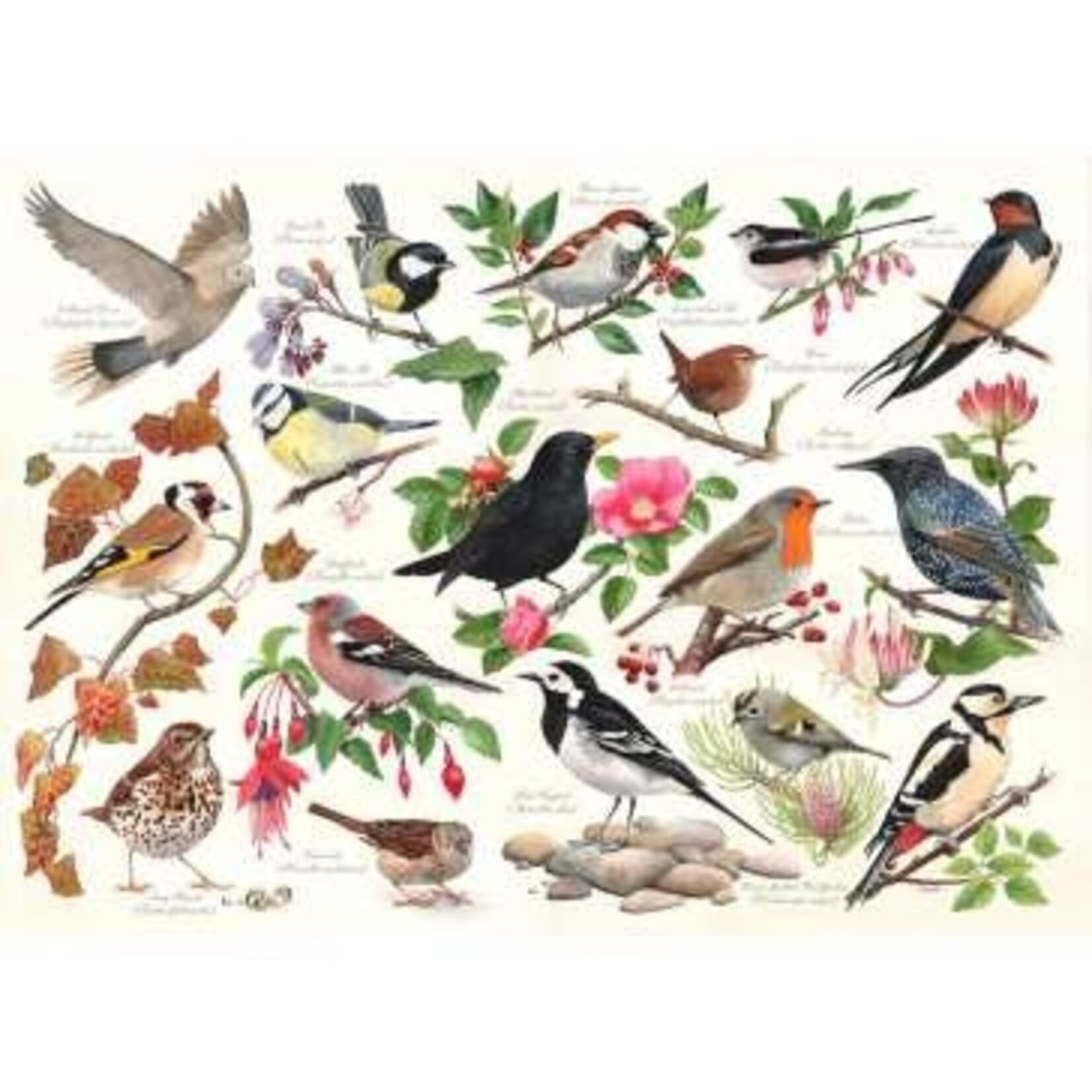 Birds in My Garden Puzzle 1000
