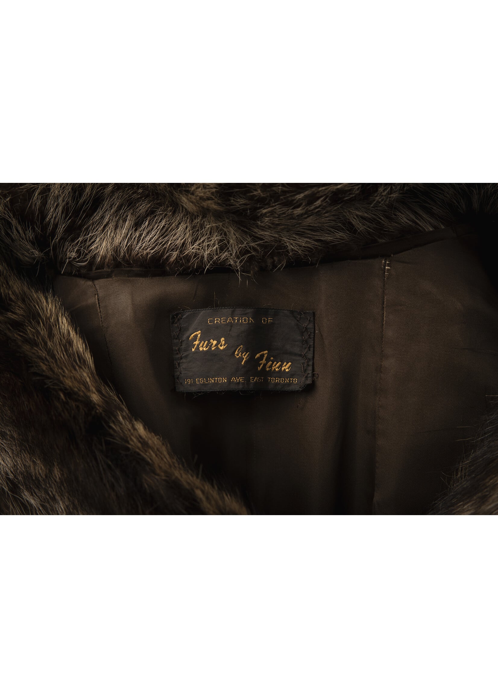 RACCOON JACKET 8