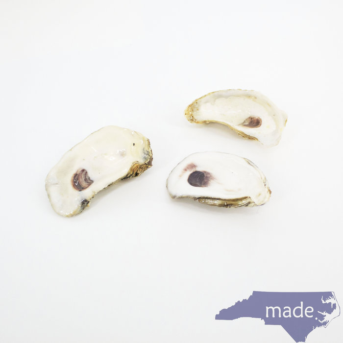 Set of 3 Poly Oyster Shells - Little World of Aira