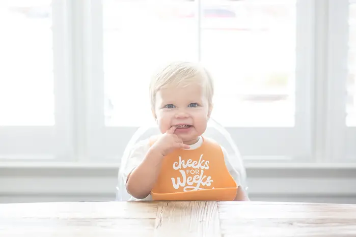 Wonder Bib Cheeks for Weeks - Bella Tunno