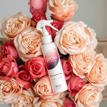 Grow Fabric Spray Black Currant Rose