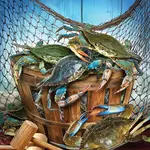 Crab Catch 550 Piece Puzzle- Heritage Puzzle