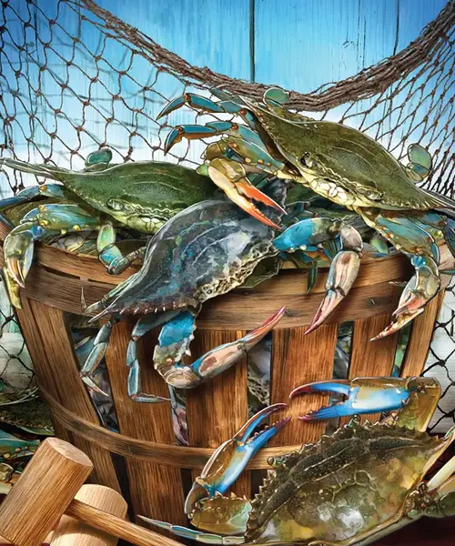 Crab Catch
