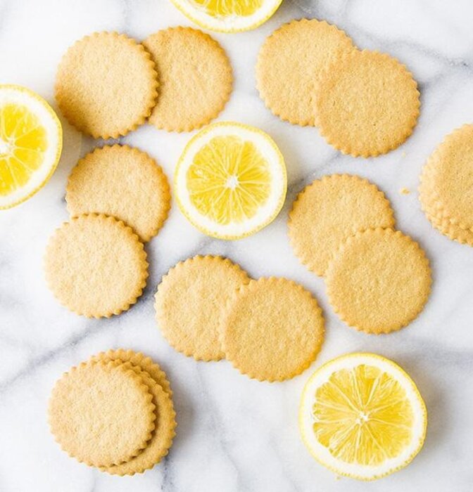 Meyer Lemon Moravians 9oz. - Dewey's Bakery