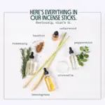 Mosquito Repellent Incense Sticks - Murphy's Naturals