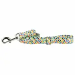 EarthStyle Indy Flag Dog Leash - 2 Hounds Design