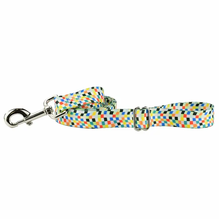 EarthStyle Indy Flag Dog Leash - 2 Hounds Design