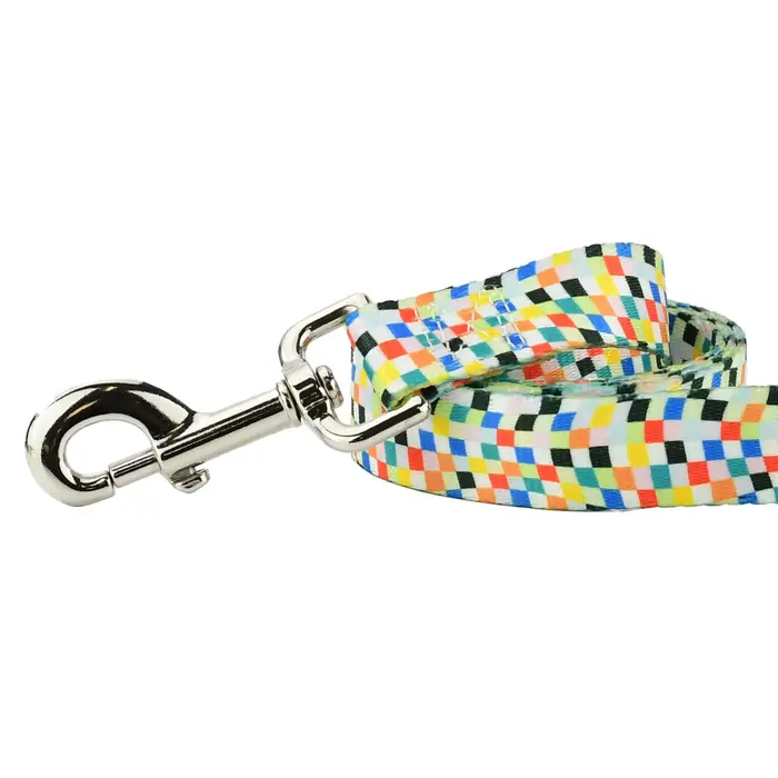 EarthStyle Indy Flag Dog Leash - 2 Hounds Design