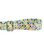 EarthStyle Indy Flag Dog Leash - 2 Hounds Design