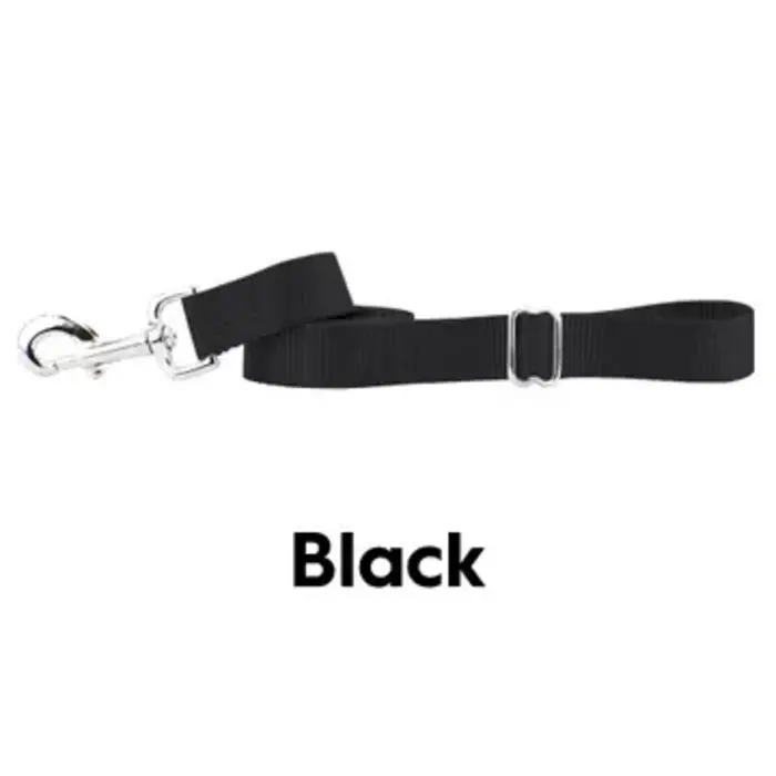 Black Premium Nylon Dog Leash - 2 Hounds Design