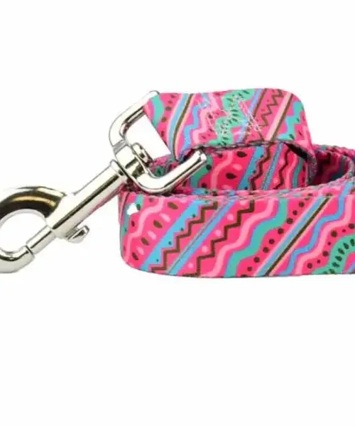 EarthStyle 1980s Dog Leash