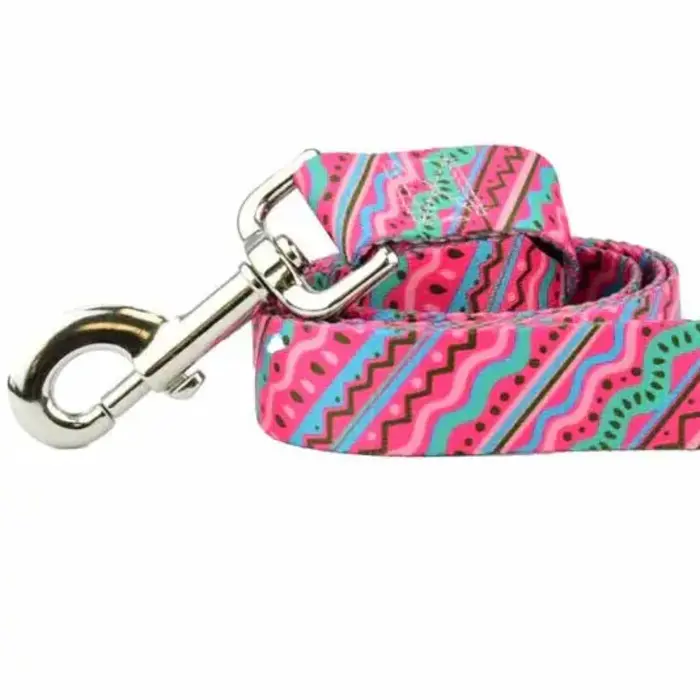 EarthStyle 1980s Dog Leash - 2 Hounds Design
