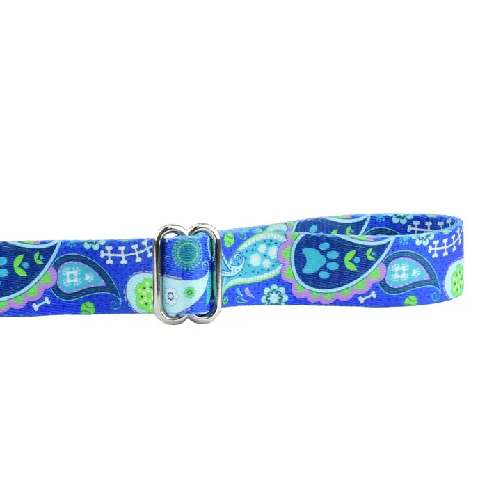 EarthStyle Paw Paisley Dog Leash - 2 Hounds Design
