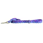 EarthStyle Twilight Glow Dog Leash - 2 Hounds Design