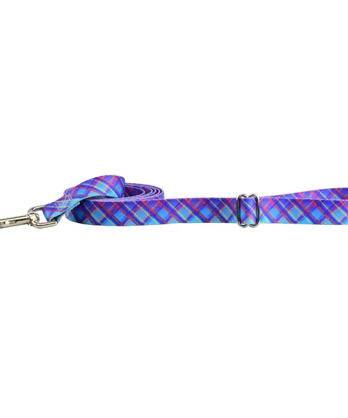 EarthStyle Twilight Glow Dog Leash