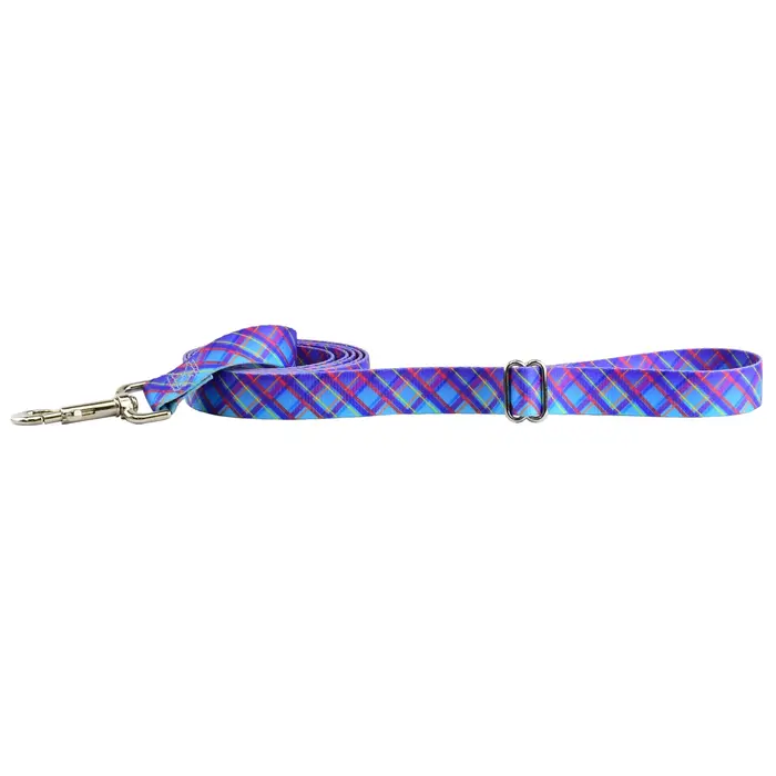 EarthStyle Twilight Glow Dog Leash - 2 Hounds Design