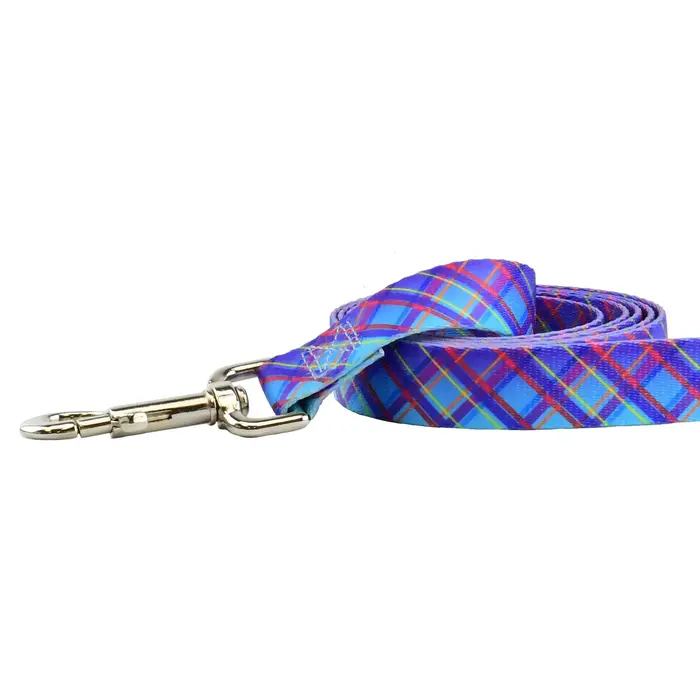 EarthStyle Twilight Glow Dog Leash - 2 Hounds Design