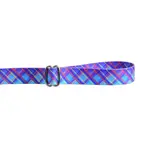 EarthStyle Twilight Glow Dog Leash - 2 Hounds Design