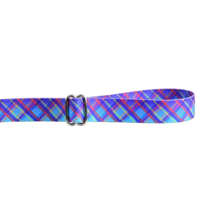 EarthStyle Twilight Glow Dog Leash - 2 Hounds Design