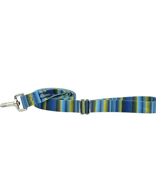 Clyde Dog Leash with Traffic Handle 6 ft.