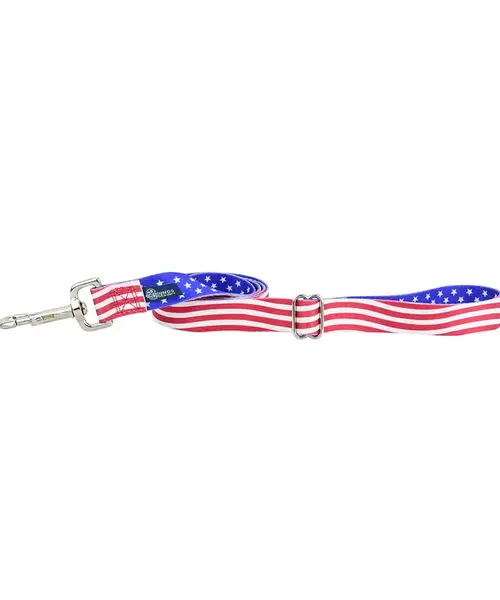 Star Spangled Dog Leash with Traffic Handle 6 ft.