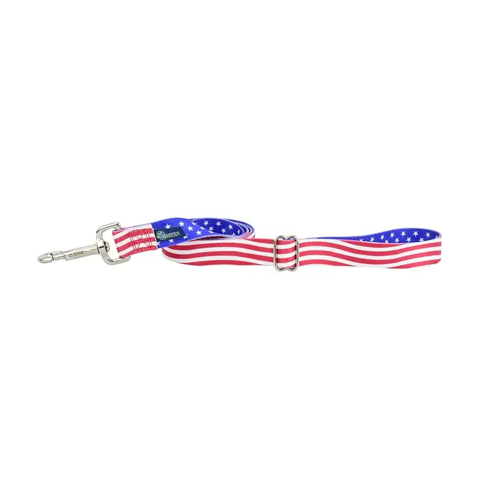 Star Spangled Dog Leash with Traffic Handle 6 ft. - 2 Hounds Design