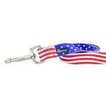 Star Spangled Dog Leash with Traffic Handle 6 ft. - 2 Hounds Design