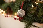 Sand Dollar Seashell Ornament - House of Morgan Pewter