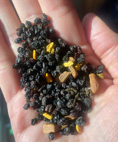 Elderberry Syrup  16 oz.