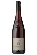 Les villaises - Saumur Champigny
